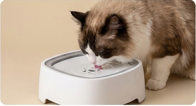 Sanctuary Co. No-Spill Floating Dog Water Bowl